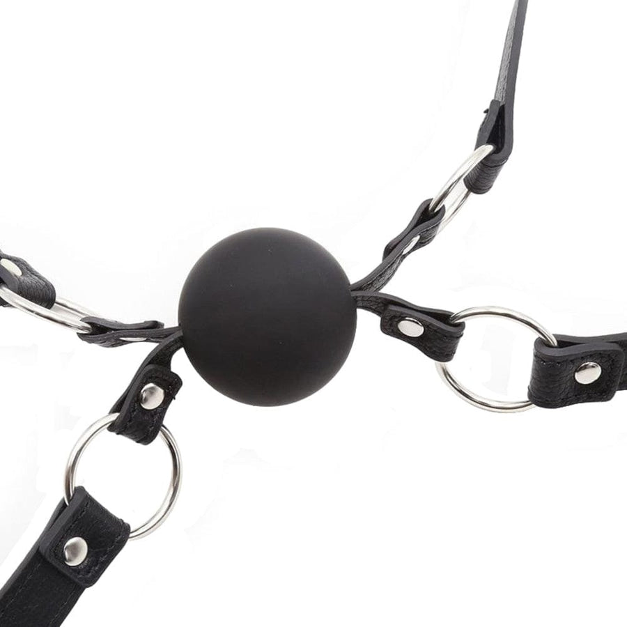 Liplock Bondage Double Ball Gag BDSM, gallery view 4