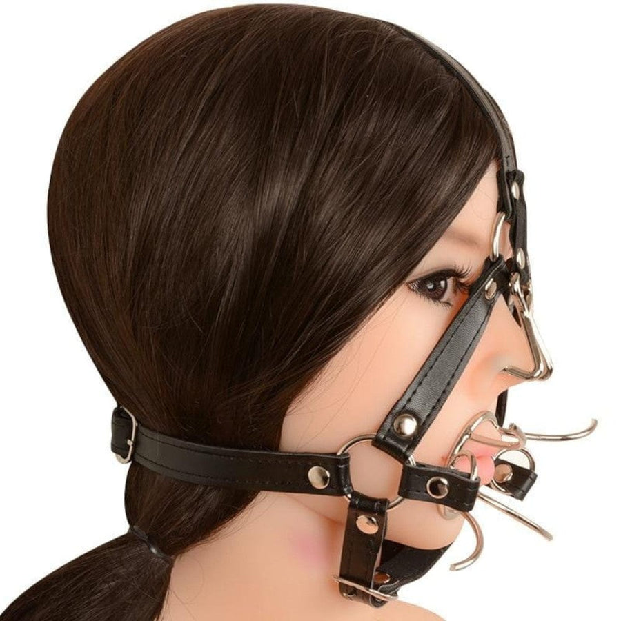 Extreme Bondage Spider Gag BDSM, gallery view 6