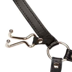 Bâillon araignée de bondage extrême BDSM