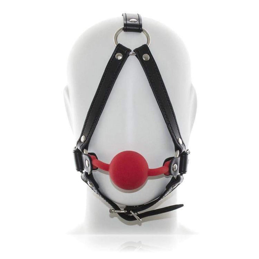 Masochist's Ball Gag Mask BDSM, gallery view 3