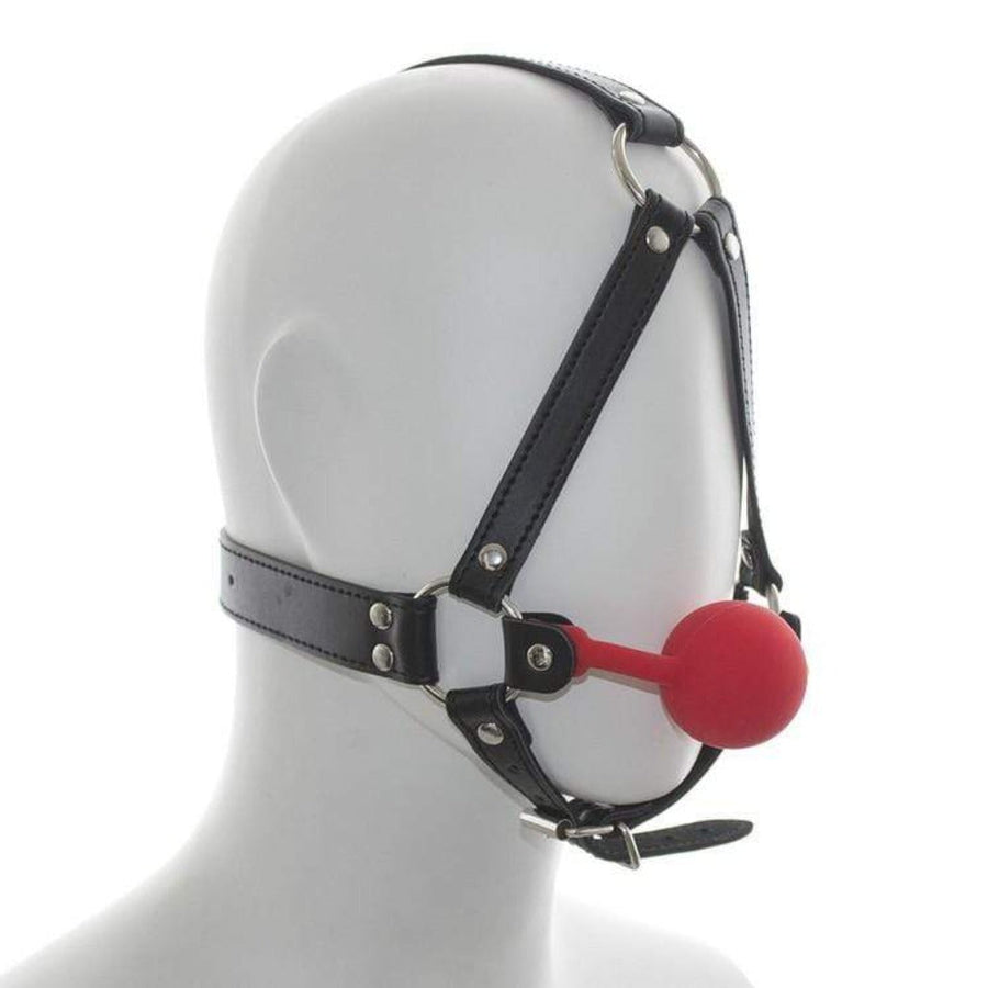 Masochist's Ball Gag Mask BDSM product view