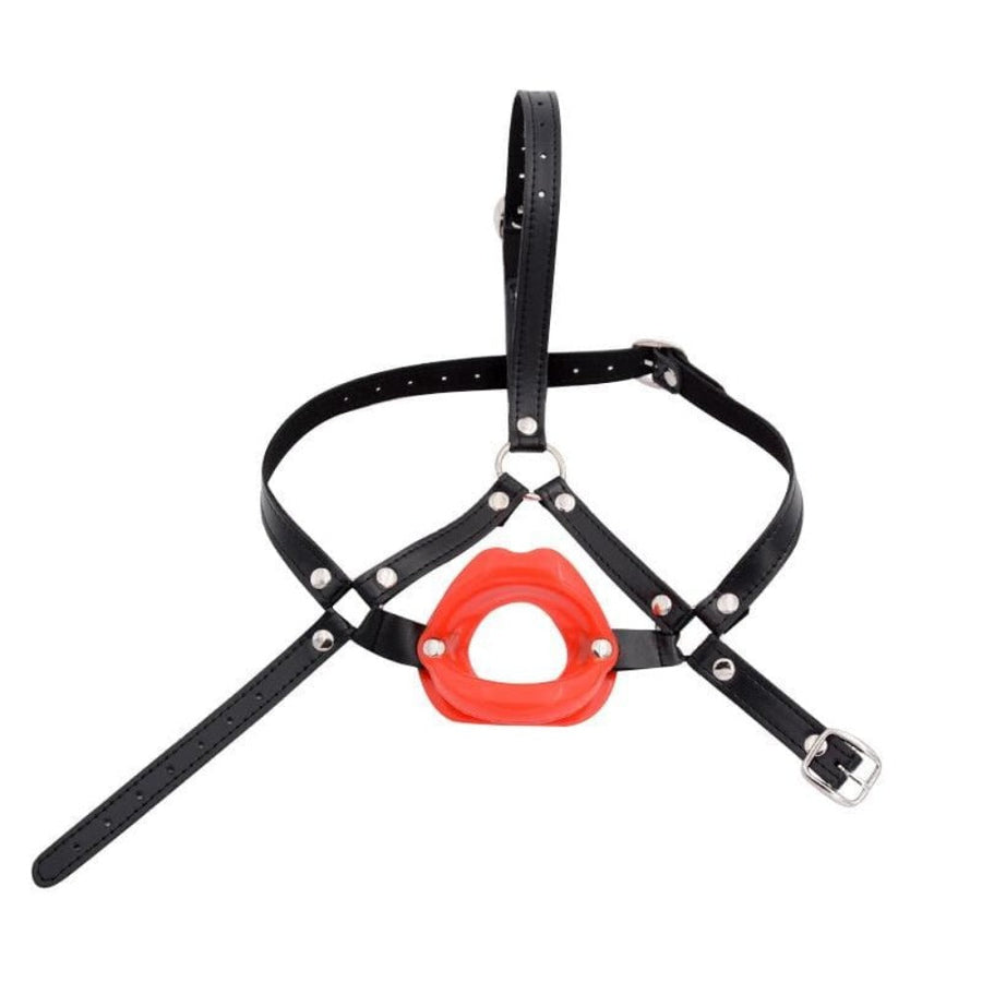 Blowjob Ready Open Mouth Gag BDSM product view