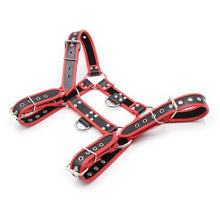 Load image into Gallery viewer, Man Slave Perfect Bondage Chest Harness
