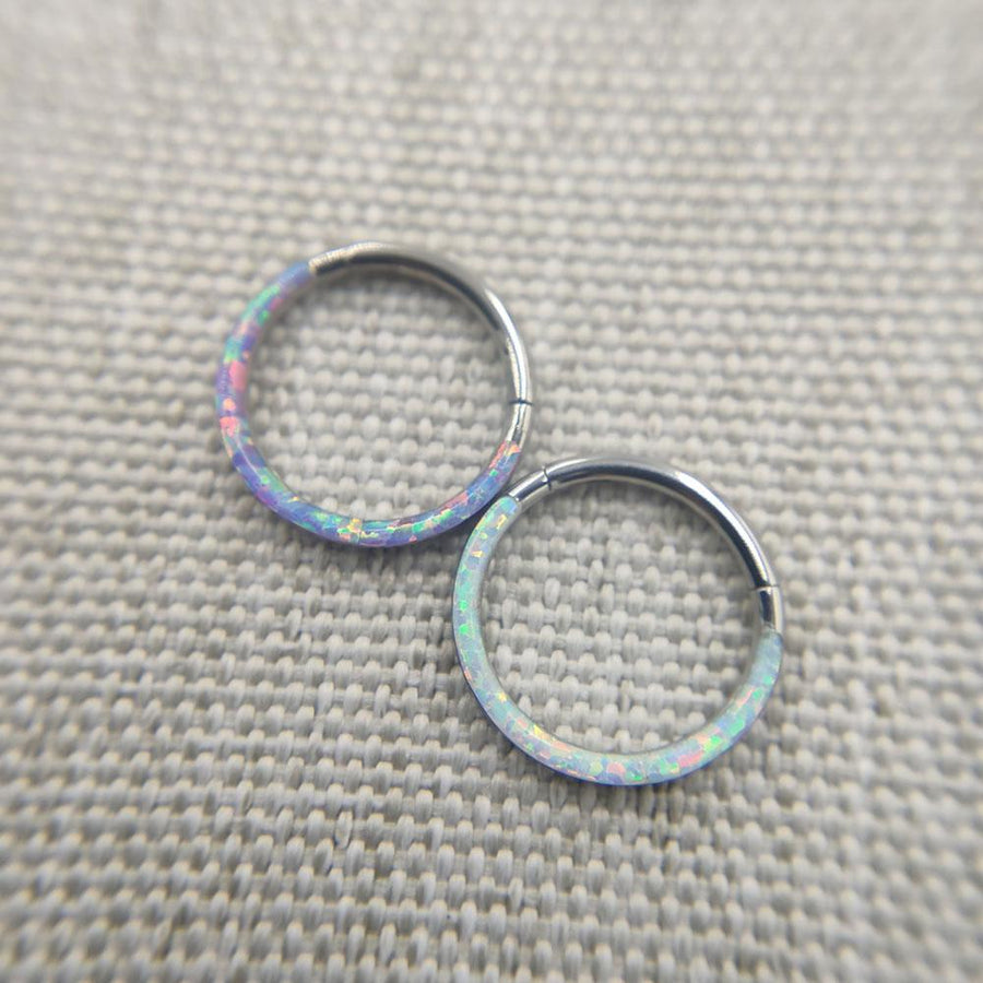 Implant Grade 16G Labia Rings BDSM product view