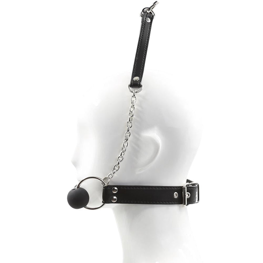 Shameful Dog Bone Ball Gag With Leash, gallery view 3