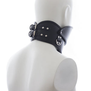 Collier verrouillable BDSM pour chien BDSM