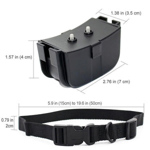 Play Shock Collar mit Fernbedienung