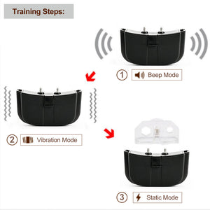 Play Shock Collar mit Fernbedienung