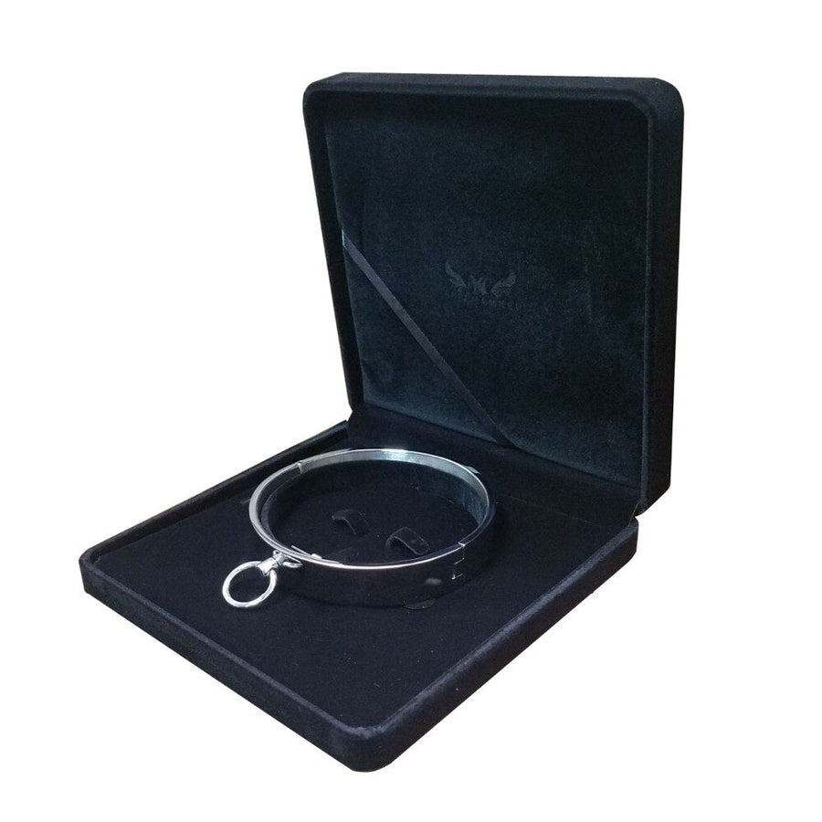 Lockable Slave Collar BDSM DDLG, gallery view 3