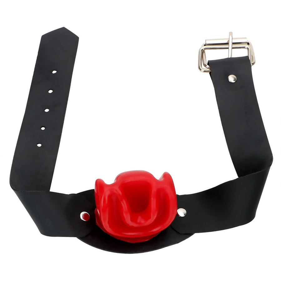 Interesting Open Mouth Dilatation Ball Gag Plug, gallery view 7