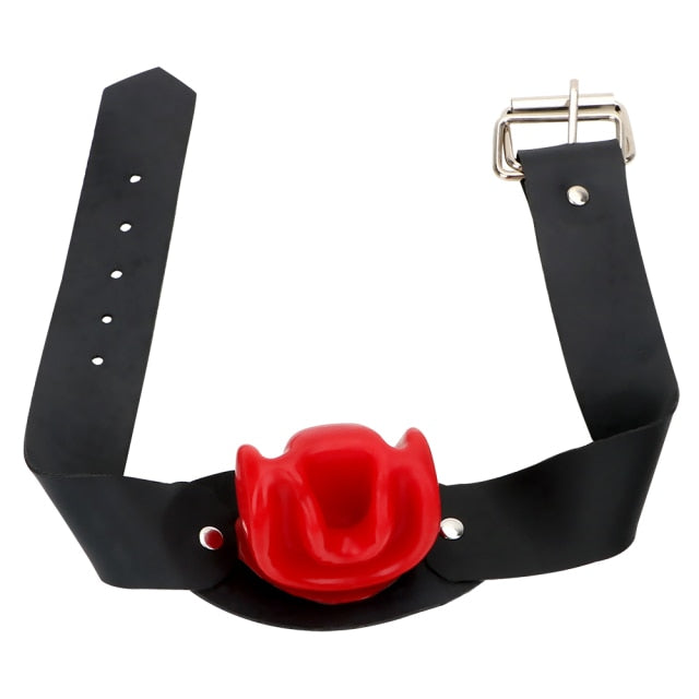 Interesting Open Mouth Dilatation Ball Gag Plug, gallery view 2