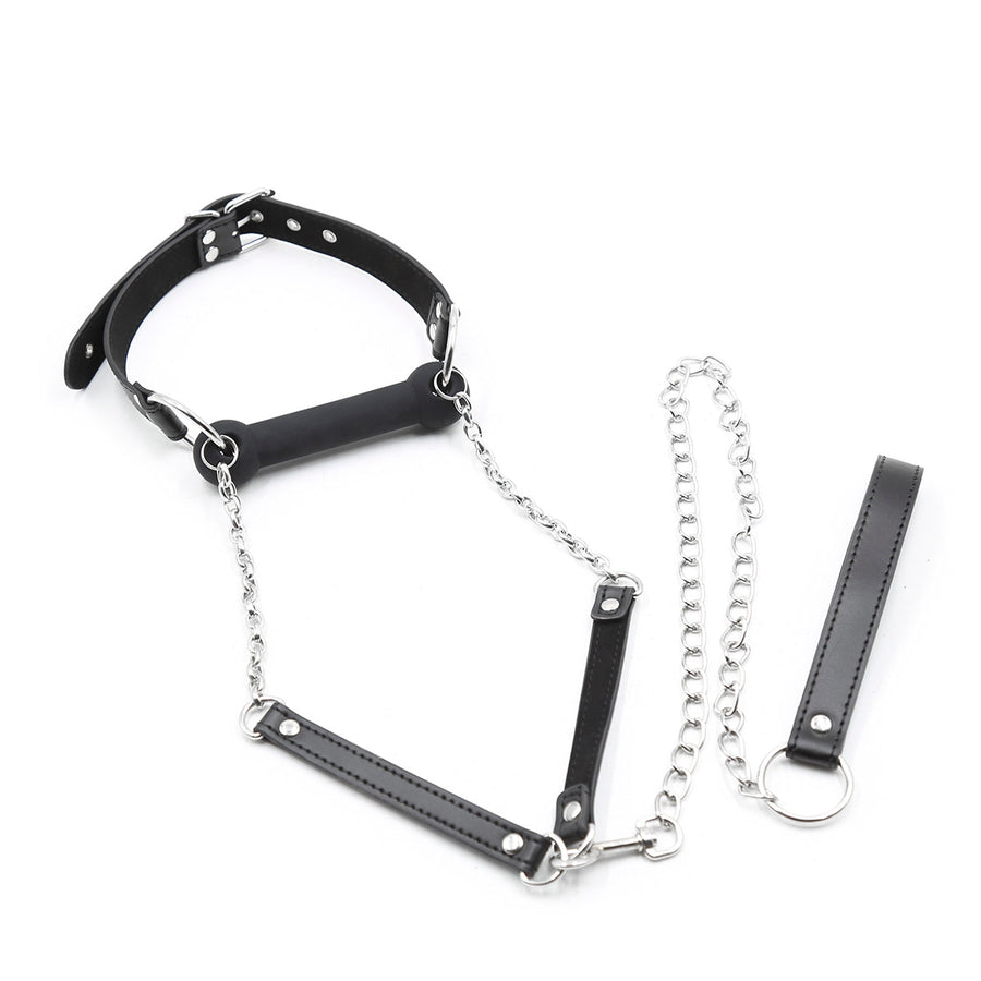 Shameful Dog Bone Ball Gag With Leash, gallery view 4