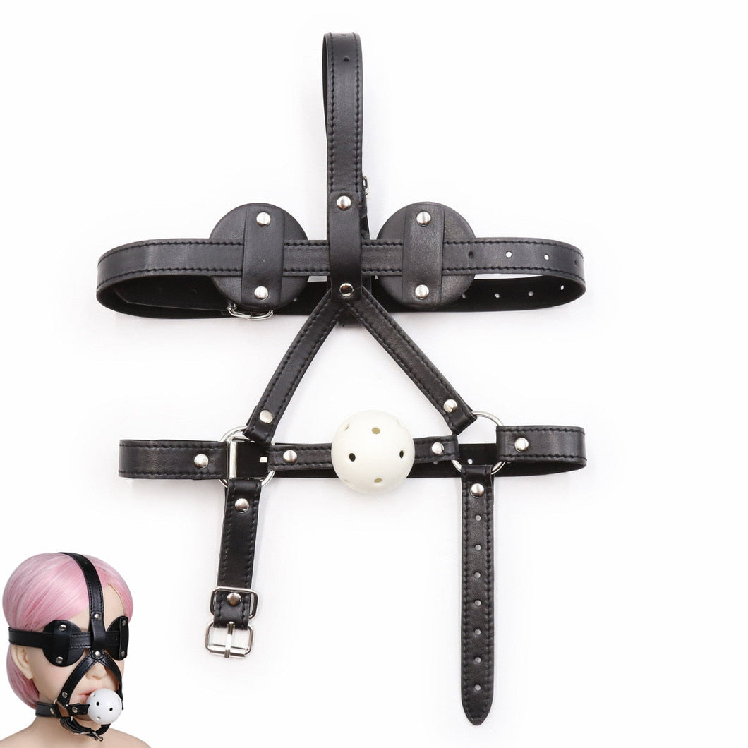 New Blindfold and Hard Ball Gag Harness