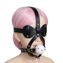 Load image into Gallery viewer, New Blindfold and Hard Ball Gag Harness
