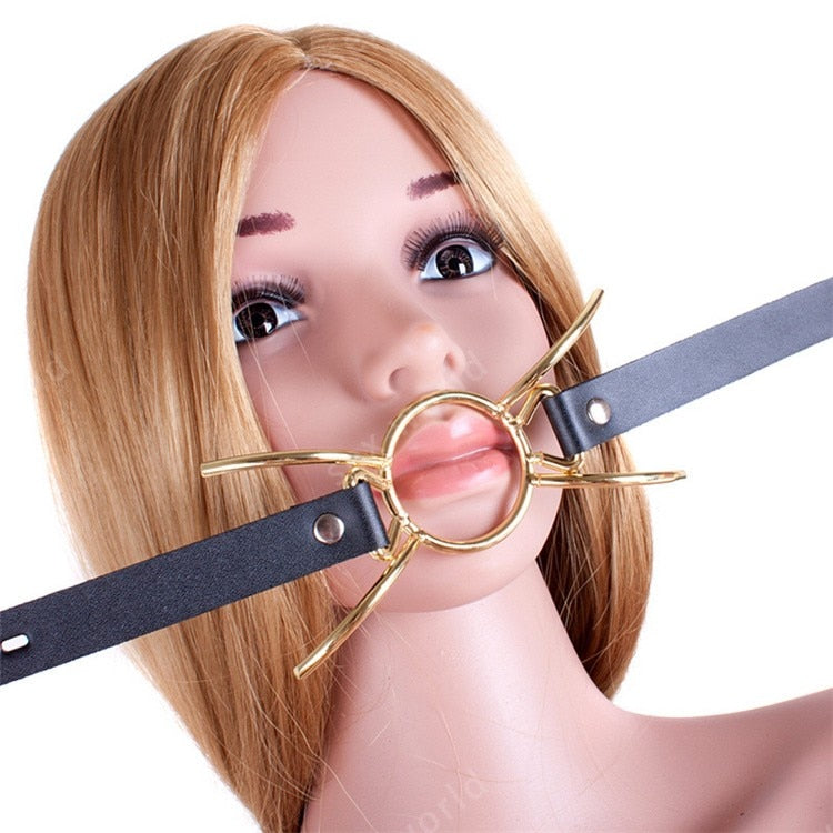 O Ring Metal Mouth Gag product view