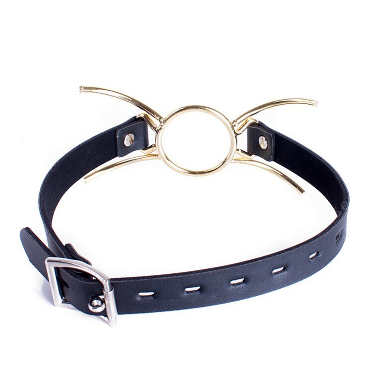 O Ring Metal Mouth Gag, gallery view 2