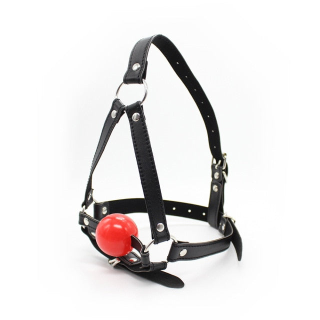 Simple Mouth Ball Gag Harness, gallery view 2