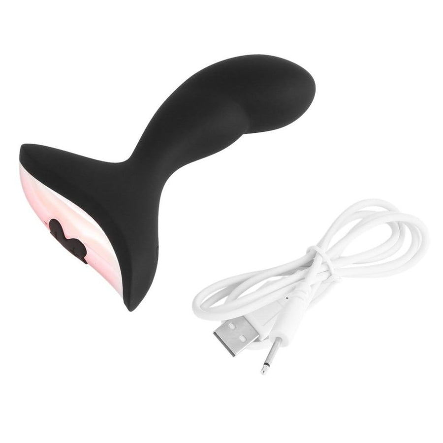 10 Speed Anal Vibrator, gallery view 6