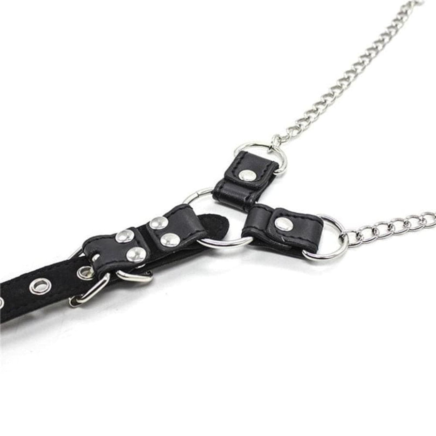 BDSM Nipple Clamps, gallery view 3
