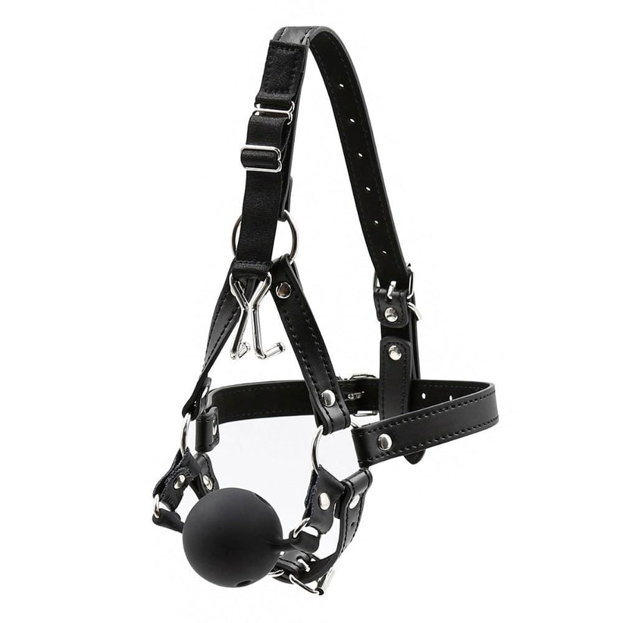 Punishment Fetish Wiffle Ball Gag BDSM product view