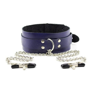 BDSM Leather Collar and Nipple Clamps