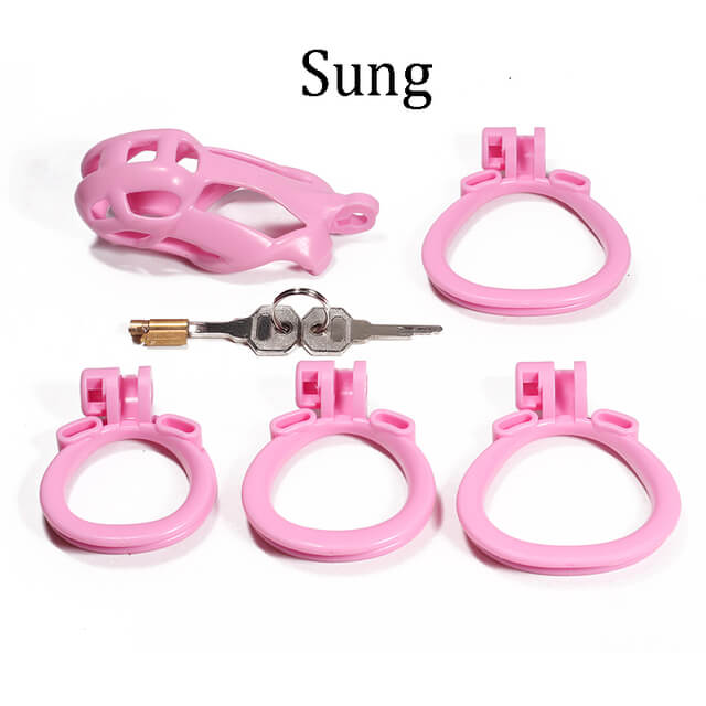 Python 6.0 New Upgrade Chastity Device Kit, gallery view 6
