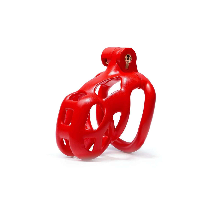 Red Cobra Chastity Cage Kit 1.77 To 4.13 Inches Long, gallery view 4