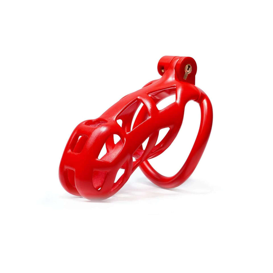 Red Cobra Chastity Cage Kit 1.77 To 4.13 Inches Long, gallery view 6