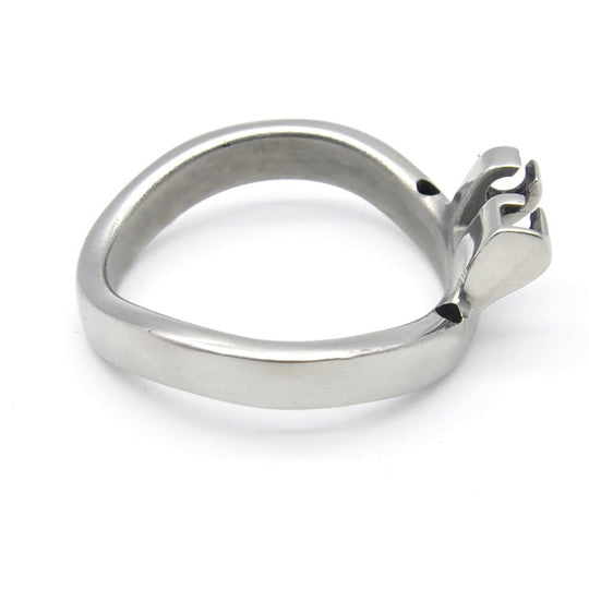 Replacement Arc Ring product view
