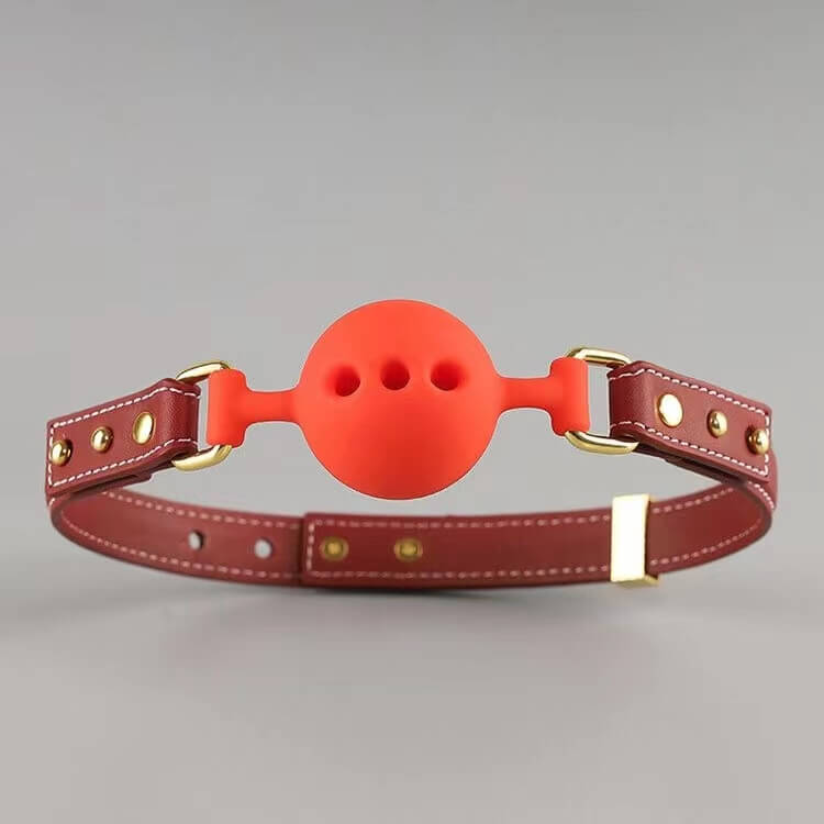 SEVANDA Bow Neck Collar Mouth plug, gallery view 3