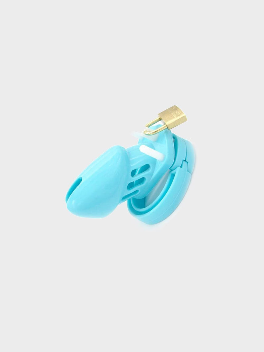 CB6000S | A Soft Silicone Chastity Cage product view