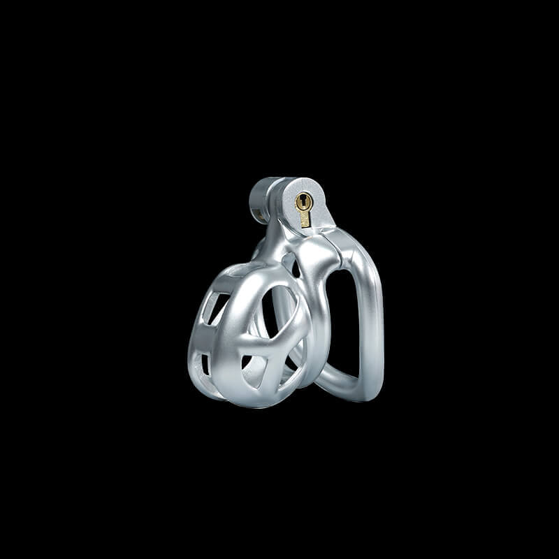 Silver Cobra Chastity Cage Kit 1.77 To 4.13 Inches Long, gallery view 3
