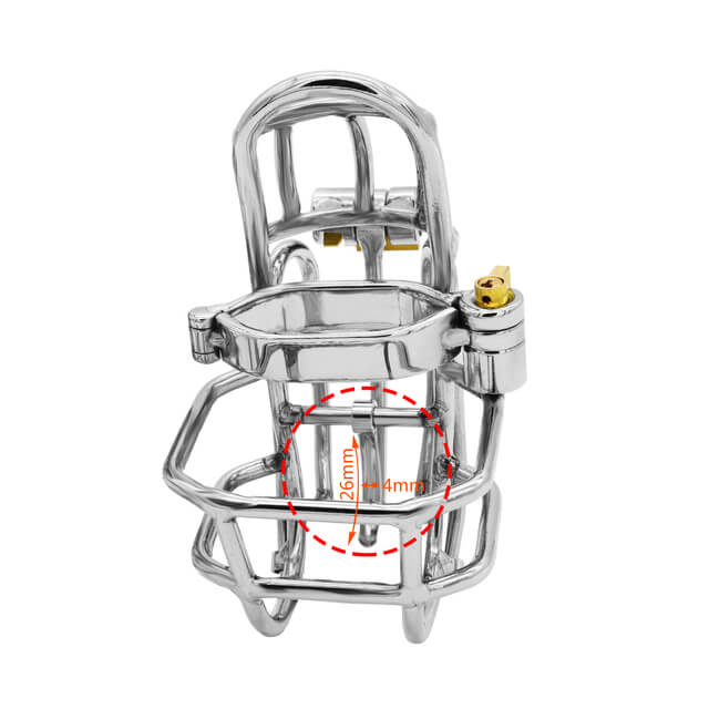 Stainless Steel Detachable PA Puncture Chastity Device, gallery view 6