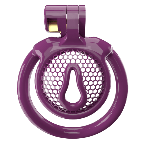 Super Small CX-1 Sissy Chastity Cage With 5 Arc Rings, gallery view 5