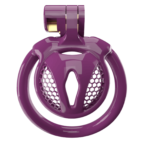 Super Small CX-2 Sissy Chastity Cage With 5 Arc Rings, gallery view 3