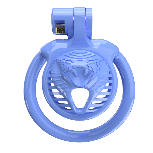 Super Small CX-4 Sissy Chastity Cage With 5 Arc Rings, gallery view 3