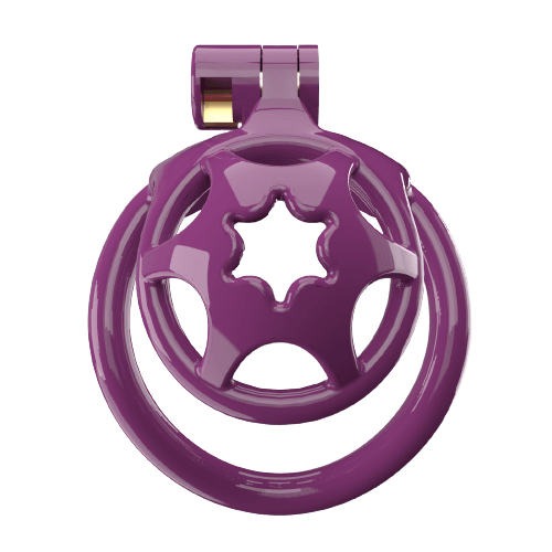 Super Small WX-2 Sissy Chastity Cage With 5 Arc Rings, gallery view 5