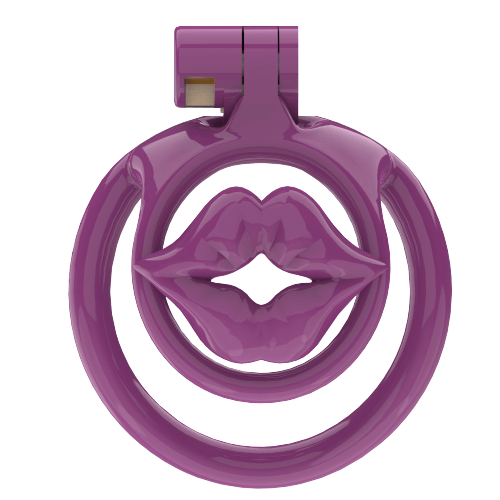 Super Small WX-3 Sissy Chastity Cage With 5 Arc Rings, gallery view 4