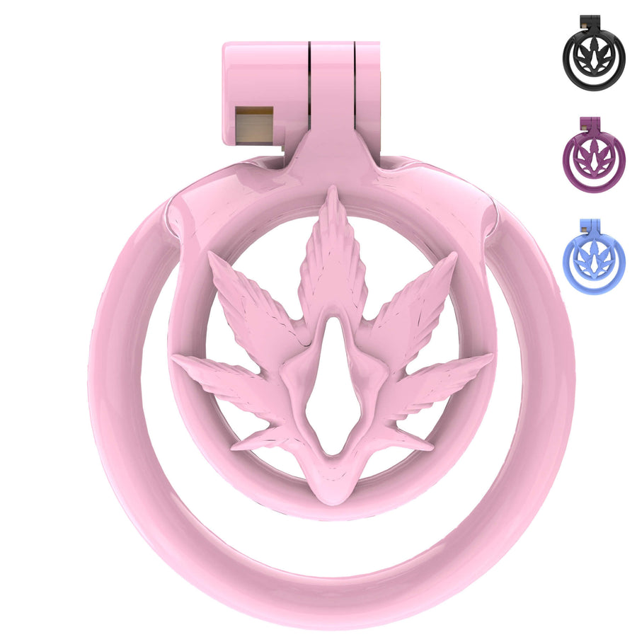 Super Small WX-5 Sissy Chastity Cage With 5 Arc Rings product view