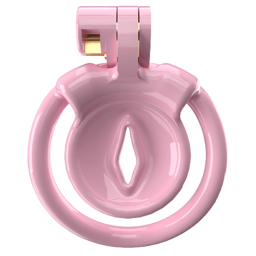 Super Small XX-1 Sissy Chastity Cage With 5 Arc Rings, gallery view 3