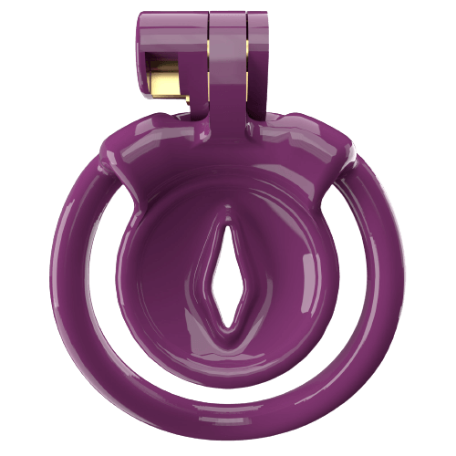 Super Small XX-1 Sissy Chastity Cage With 5 Arc Rings, gallery view 2