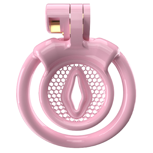 Super Small XX-2 Sissy Chastity Cage With 5 Arc Rings, gallery view 2