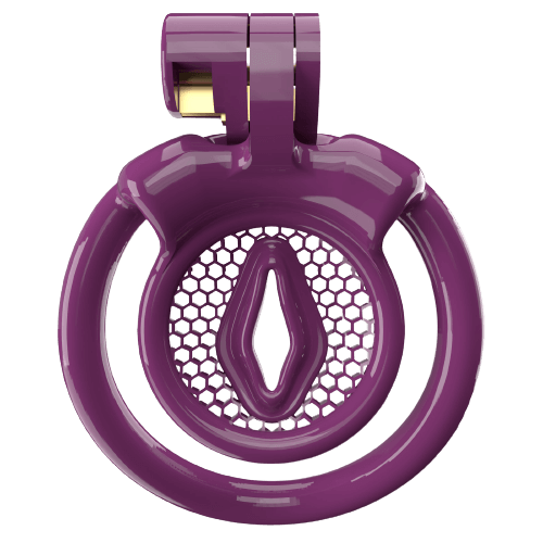 Super Small XX-2 Sissy Chastity Cage With 5 Arc Rings, gallery view 4