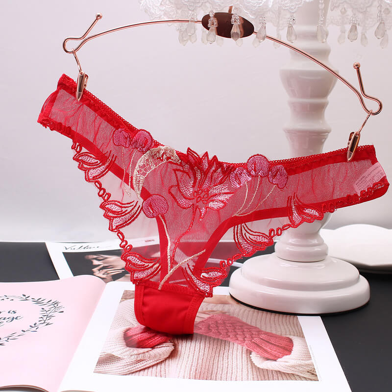 Transparent Mesh Embroidered Sexy Thong, gallery view 5